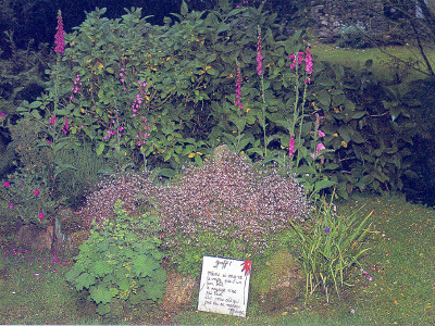 JARDINS EN HOMMAGE À JACQUES PRÉVERT