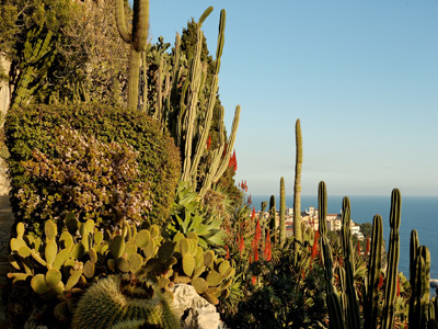 JARDIN EXOTIQUE DE MONACO