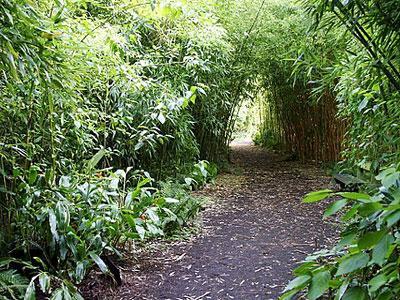 Jardin Botanique Yves Rocher