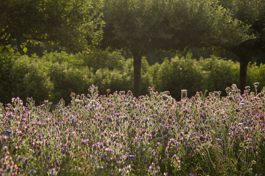 Le Jardin de la Borde