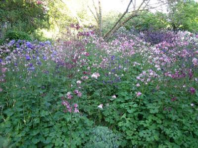 LE JARDIN DE MANOU