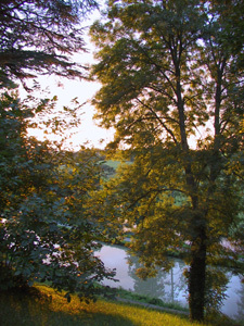 PARC ET JARDINS DU CHÂTEAU DE CHÂTILLON EN BAZOIS