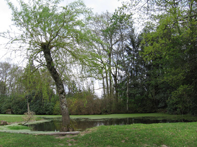 PARC DU CHÂTEAU DE LA COSSE