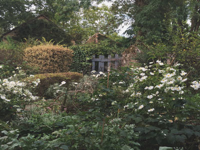 JARDINS DU CHÂTEAU DE MOMAS