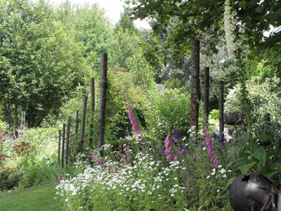 Jardin d'Arsac