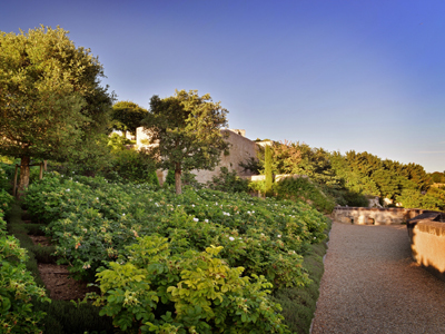 JARDIN DU CHÂTEAU ROYAL D'AMBOISE