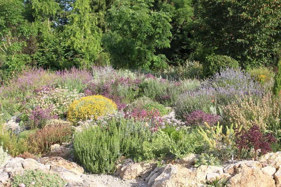 Jardin sauvage du clos Saint-Lubin