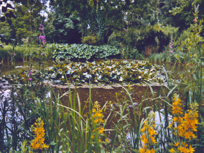 PARC DU CHÂTEAU SAINT JEAN