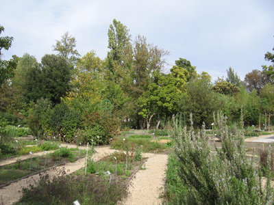 JARDIN PUBLIC DE BORDEAUX