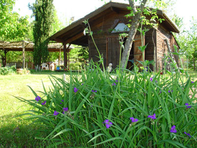 La safranière du Cabanon