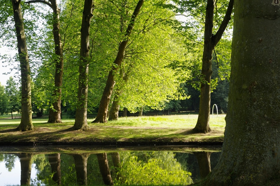 PARC DE L'ABBAYE DE MAUBUISSON