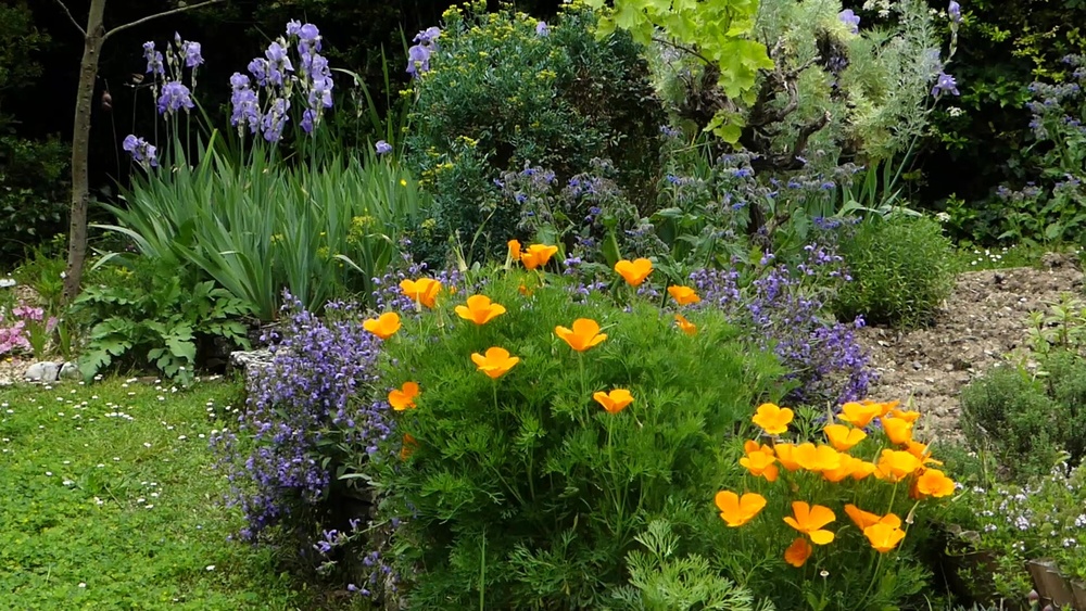 JARDIN DE LA CHAPELLE