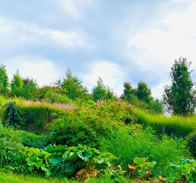 Les Jardins de la Source Dorée