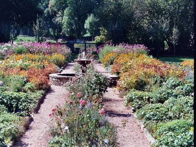 JARDIN DE BANIZETTE