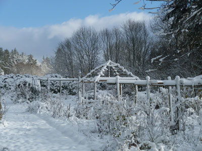 JARDIN DE ROSES ET VIVACES