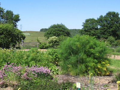 JARDINS DU DOMAINE DE LA CHAIZE