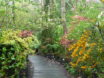 JARDIN D'ATMOSPHÈRE DU PETIT BORDEAUX