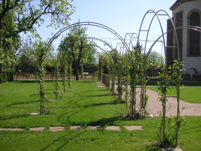 JARDIN DU CLOITRE DE L'ABBATIALE SAINT CYRIAQUE