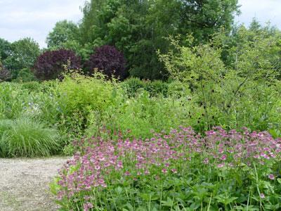 Jardin d'eau de l'Aubépré