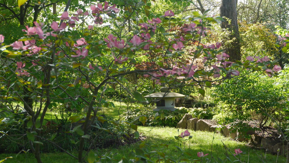 Le Jardin Chez Pia et Alain