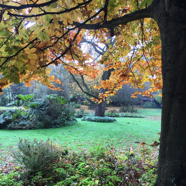 JARDIN DU PRIEURÉ DE SAINT-ARNOULT