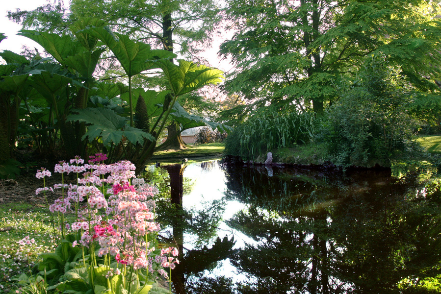 JARDIN DES PLANTES DE NANTES - Comité des Parcs et Jardins de France