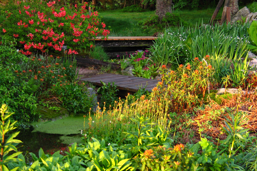 JARDIN D'ALTITUDE DU HAUT CHITELET