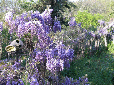 JARDINS DU CHATEAU DU PIN