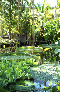 Jardin Botanique de Lyon