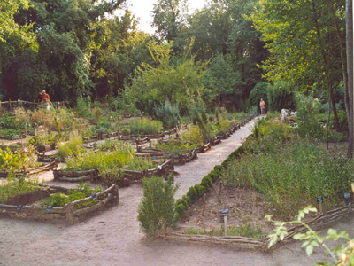 JARDIN BOTANIQUE MÉDIÉVAL Rémy BOUCHER