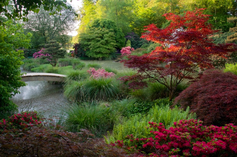 PARC BOTANIQUE DE HAUTE BRETAGNE - Comité des Parcs et Jardins de France