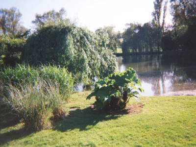 PARC DE L'ETANG