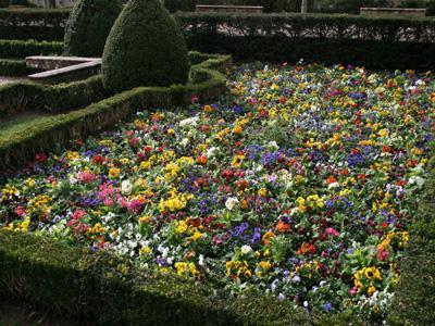 JARDIN DU CLOÎTRE DE NOTRE-DAME DE GARONNE