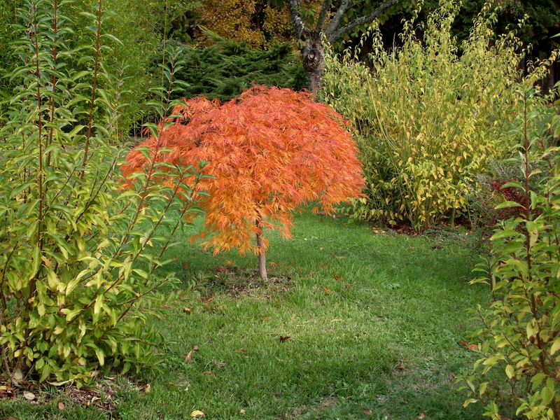 LE JARDIN DE RIVASSOUX