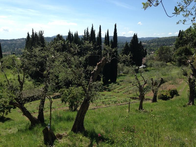 Domaine du Mas de l'Olivine (Au Pays d'Audrey)