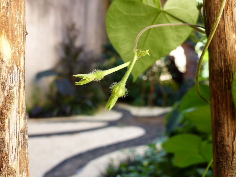 Les Jardins Secrets de Cahors