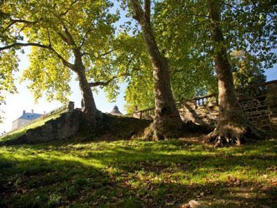 PARC DU CHÂTEAU DE L'HERMENAULT