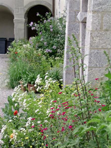 LE JARDIN DES PLANTES AUTONOMES