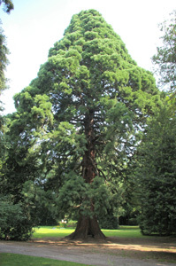 PARC DE LA MARSEILLAISE