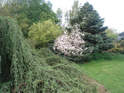 Jardin de la Vallée