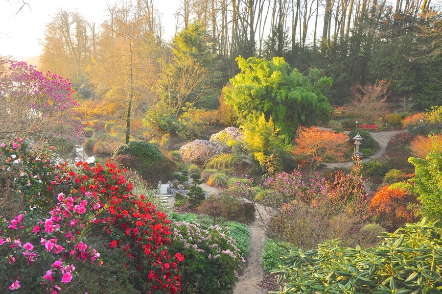 PARC BOTANIQUE DE HAUTE BRETAGNE