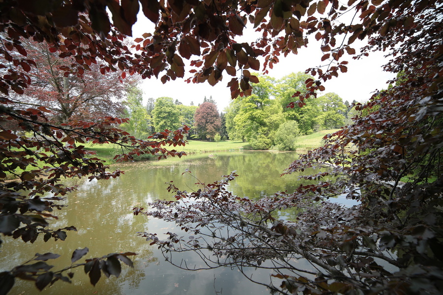 ARBORETUM DU CHATEAU DE NEUVIC D'USSEL