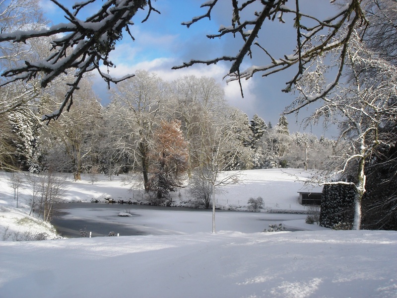 ARBORETUM DU CHATEAU DE NEUVIC D'USSEL