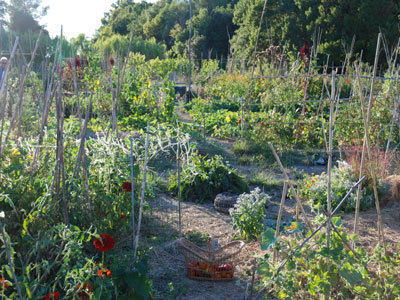 LES JARDINS DU REDOUNEL