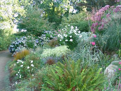 PARC BOTANIQUE DE CORNOUAILLE