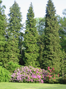 ARBORETUM DE BALAINE