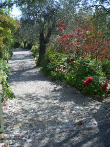 JARDIN DES FLEURS DE POTERIE