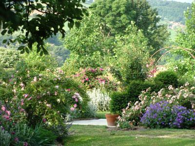 Les Jardins de la Louvière