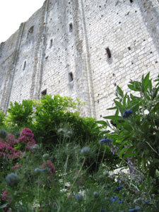 Jardin d'inspiration médiévale du donjon de Loches