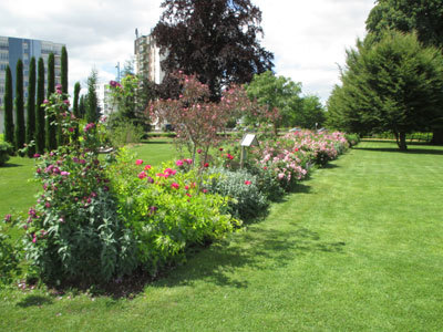 Jardin des plantes  Orléans métropole